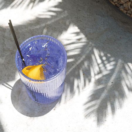 Yara Hotel - Adults Only Palm Springs Dış mekan fotoğraf