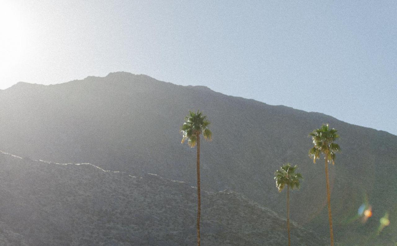 Yara Hotel - Adults Only Palm Springs Dış mekan fotoğraf